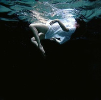 Avatar of 霸气冲天