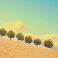 Avatar of 黑客梦魇