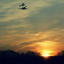 Avatar of 晨曦旅者