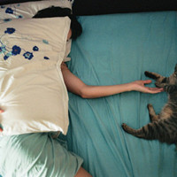 Avatar of 风之哲思