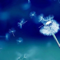 Avatar of 风尘游侠