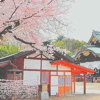 Avatar of 狗头保命