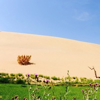 Avatar of 小蝴蝶糖