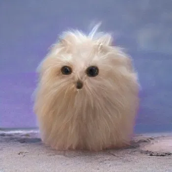 Avatar of 谷雨茶烟