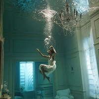 Avatar of 老虎壮壮