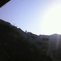 Avatar of 低头捡糖