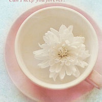 Avatar of 墨香四溢