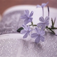 Avatar of 木匠钱七