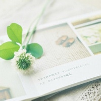 Avatar of 幽影徘徊