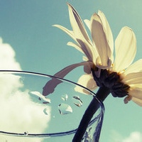 Avatar of 阳光正好时