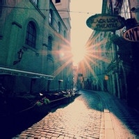 Avatar of 爱打盹的考拉