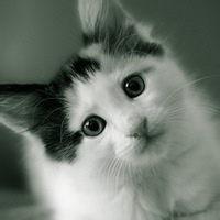 Avatar of WiFi信号捕捉器