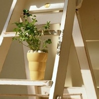 Avatar of 糖果小松