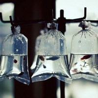 Avatar of 绯色幻梦