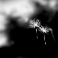 Avatar of 灵魂潜流