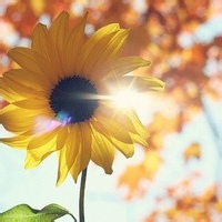 Avatar of 星曜科技